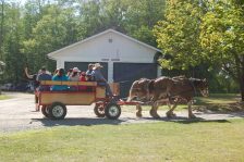 A horse drawn wagon
