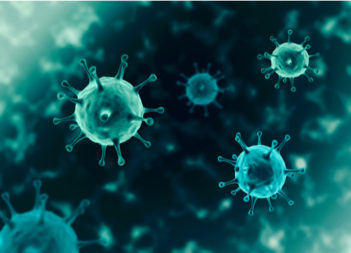 Image of cells representing Coronavirus.